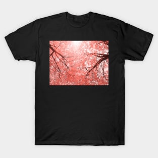 Cherry tree blossoms in Living Coral Pantone color 2019 T-Shirt